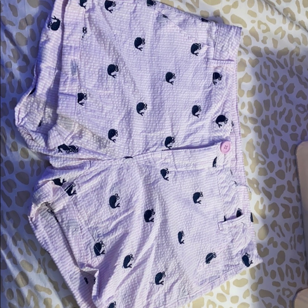 Whale shorts
